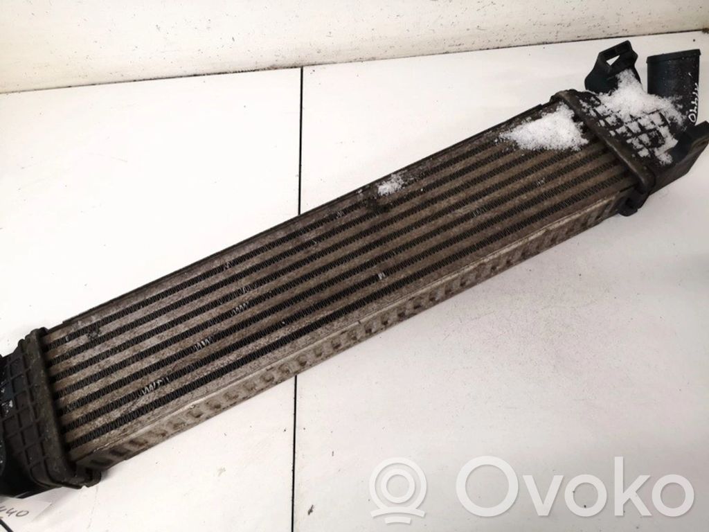 Ford Focus Radiator intercooler 