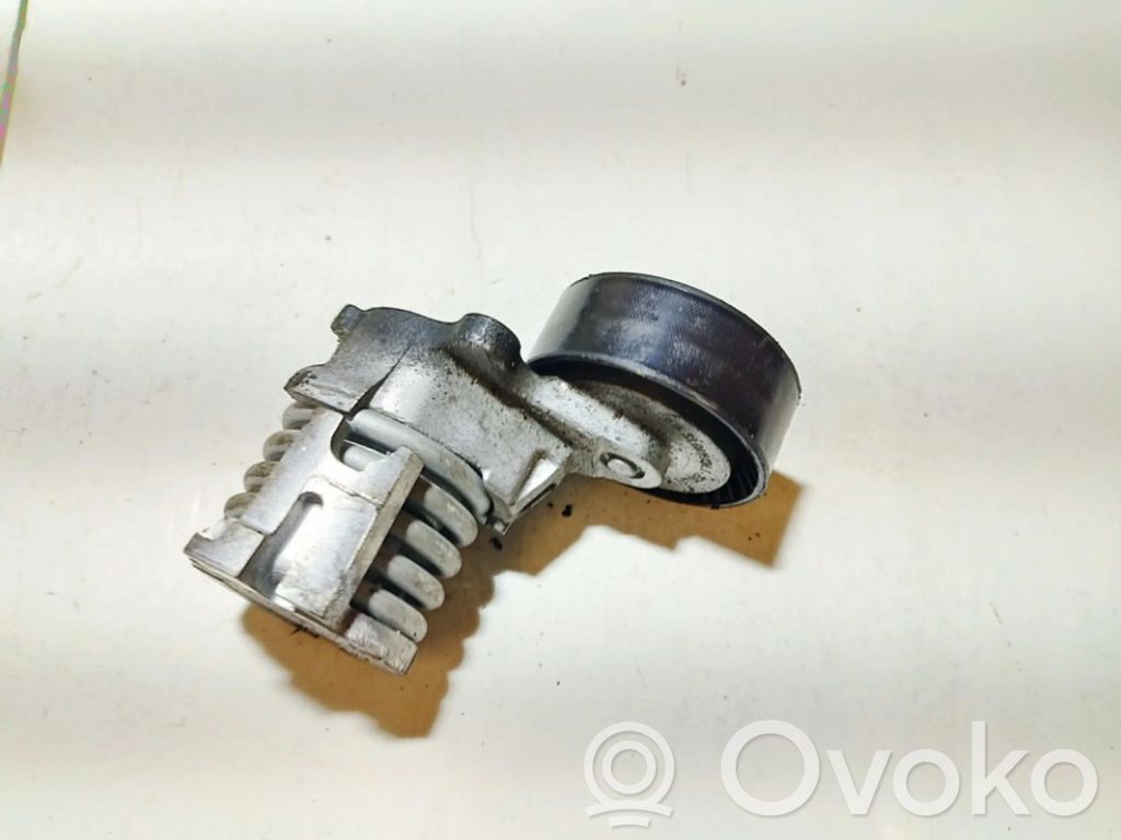Volkswagen Fox Tensor de correa del alternador
