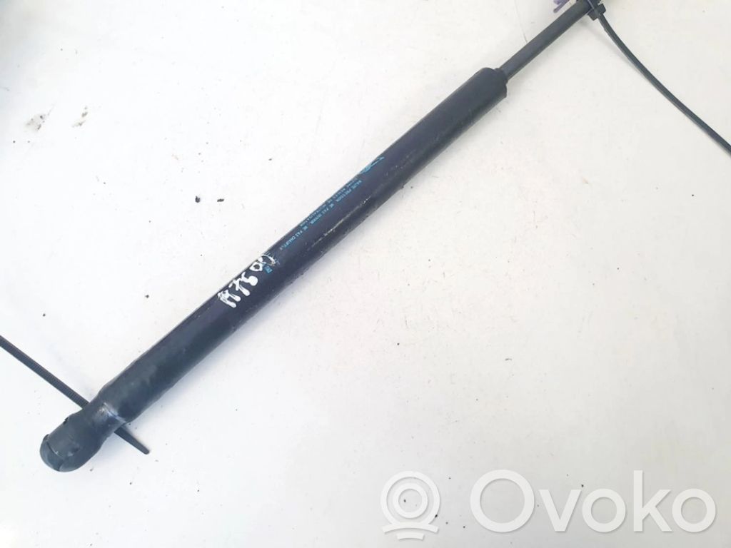 Amortizor hayon   2125NX0420N,2125NX0420N