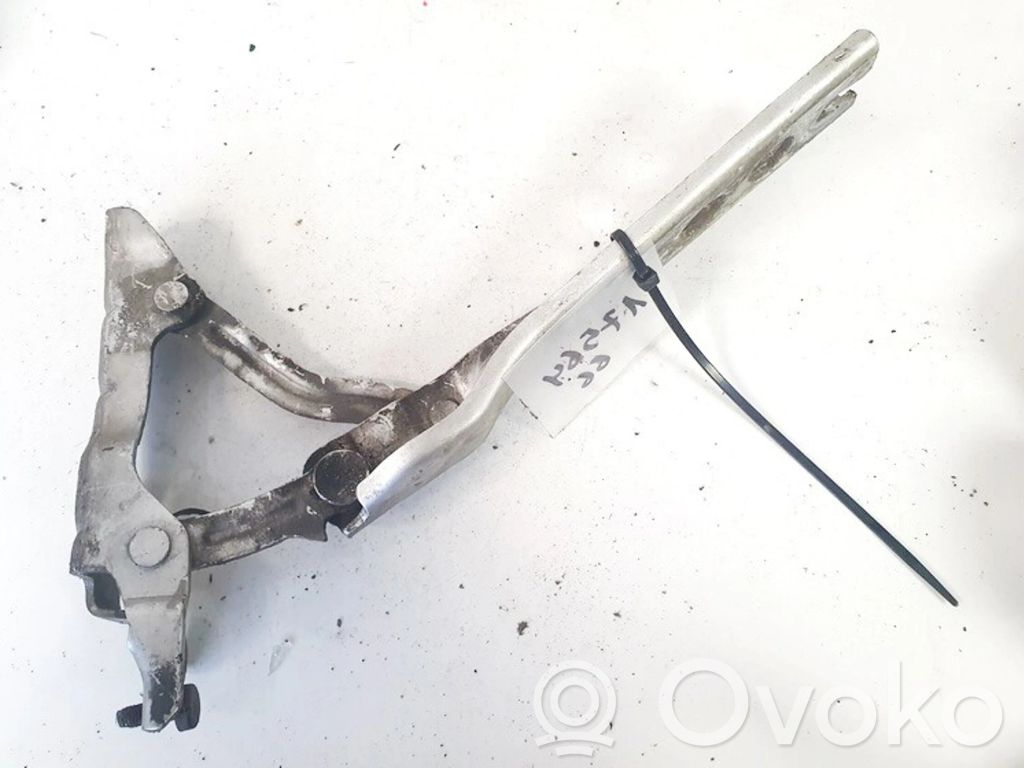 Skoda Octavia Mk2 (1Z) Cerniere del vano motore/cofano