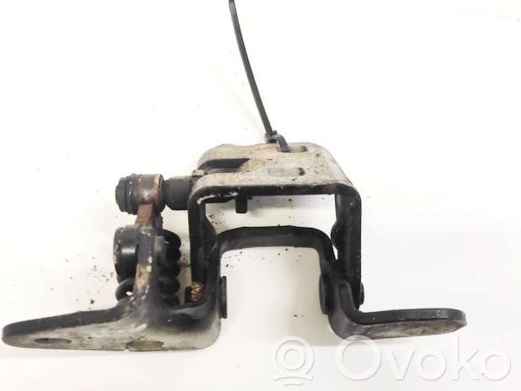 Dodge Avenger Rear door lower hinge 