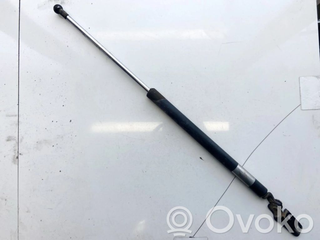 Tailgate/trunk strut/damper   7F10,7F10