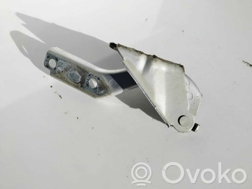 Volkswagen Fox Balamale capotă 