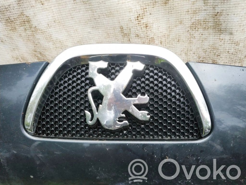 Grille de calandre avant