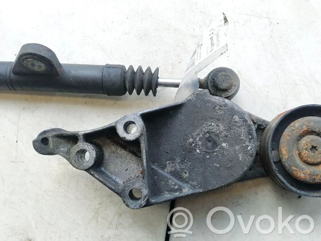 Volkswagen Golf IV Napinacz paska alternatora 