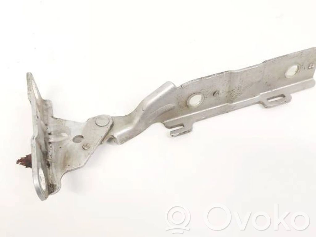 Citroen C5 Cerniere del vano motore/cofano 