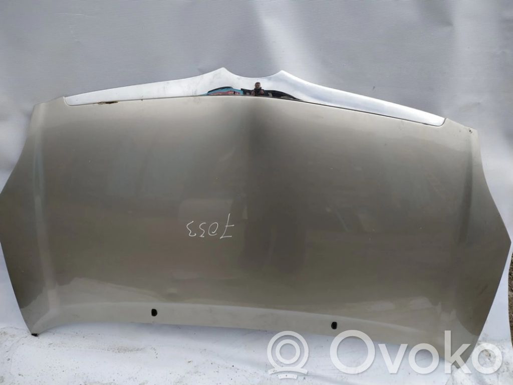 Toyota Corolla Verso E120 E121 Capó/tapa del motor 