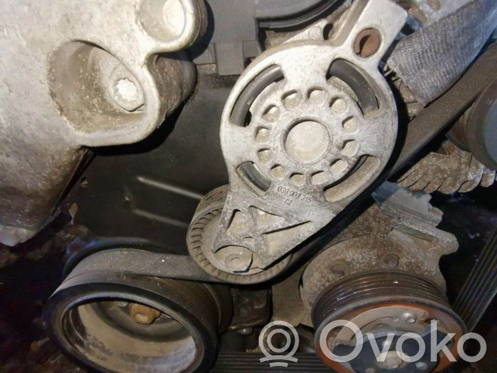 Volkswagen PASSAT B6 Napinacz paska alternatora 