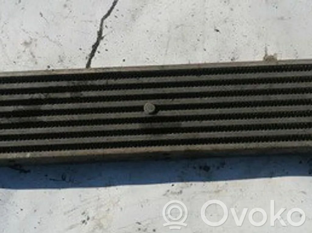 Mercedes-Benz E W211 Radiatore intercooler