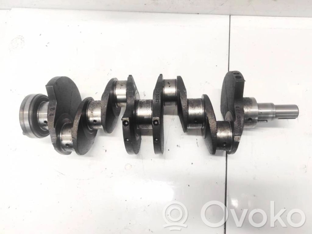 Albero motore   LEF101080,LEF101080