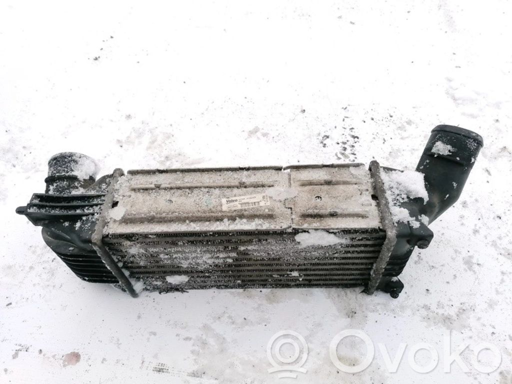 Peugeot 407 Radiatore intercooler