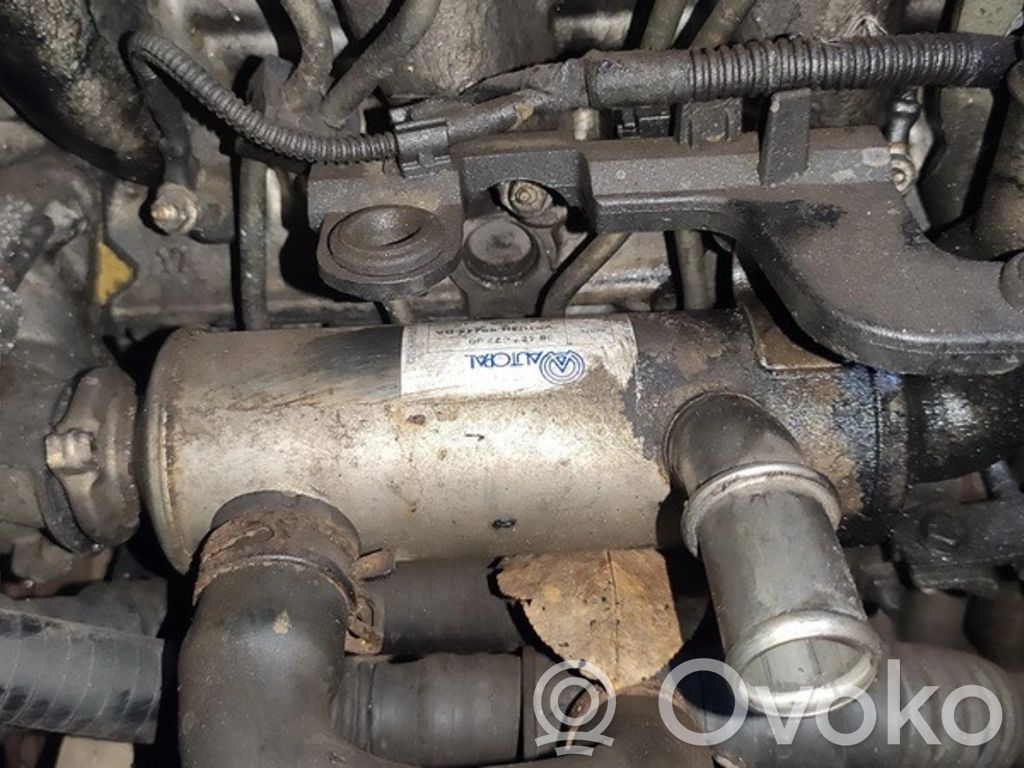 Volvo V50 Valvola di raffreddamento EGR