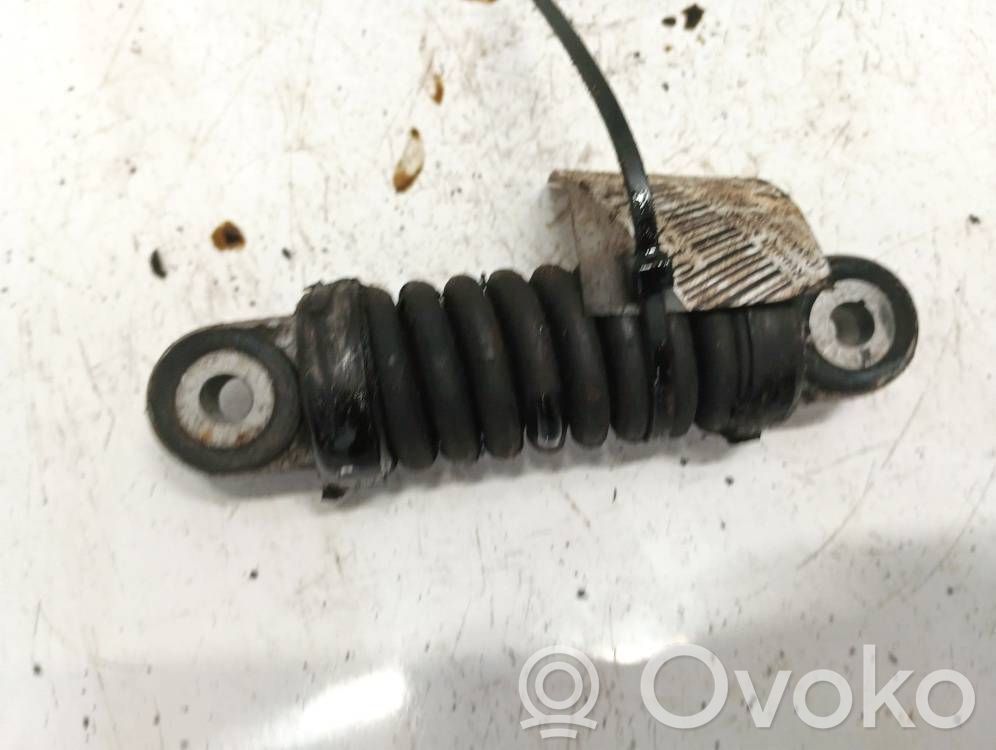Întinzător curea generator/alternator   7700102395,7700102395