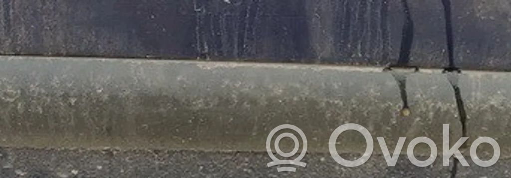 Renault Clio II Rivestimento della portiera anteriore (modanatura) 