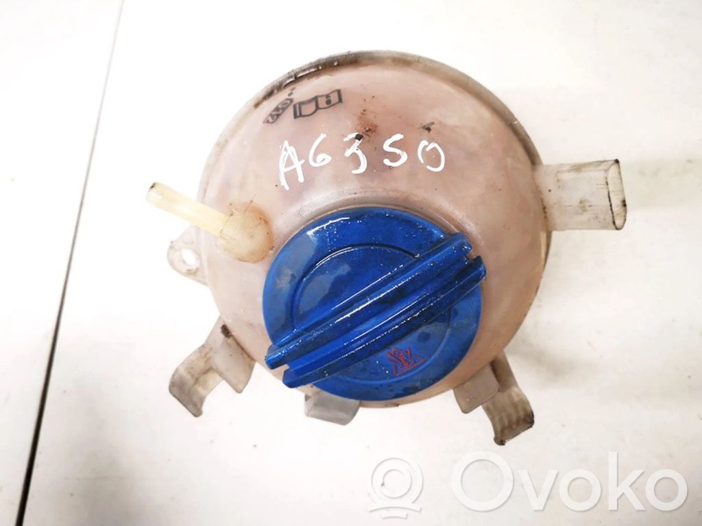Skoda Octavia Mk2 (1Z) Serbatoio di compensazione del liquido refrigerante/vaschetta