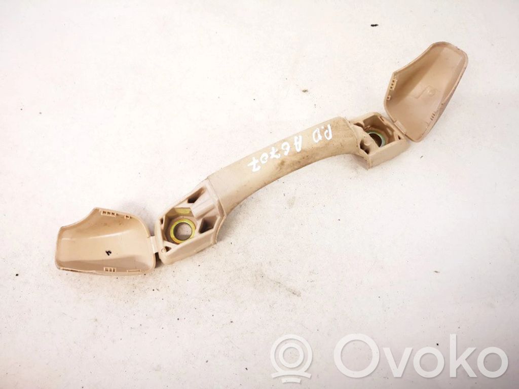 Asidero interior delantero   13550,13550