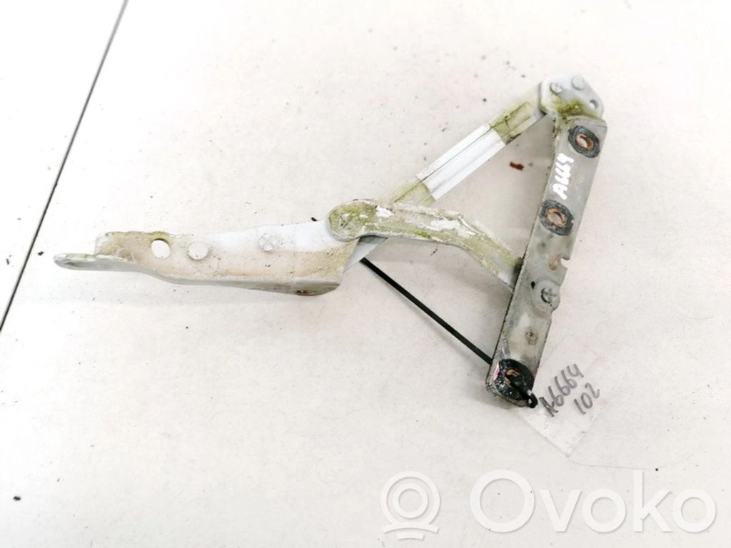 Ford Focus Aizmugurējā pārsega eņģe (-ess) 
