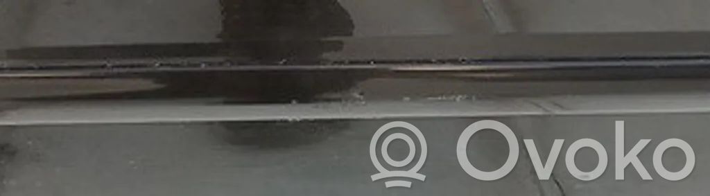 Opel Signum Mască ușă spate (turnată) 
