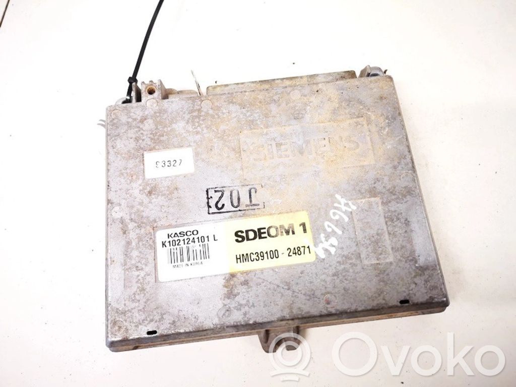 Hyundai Lantra I Engine control unit/module 