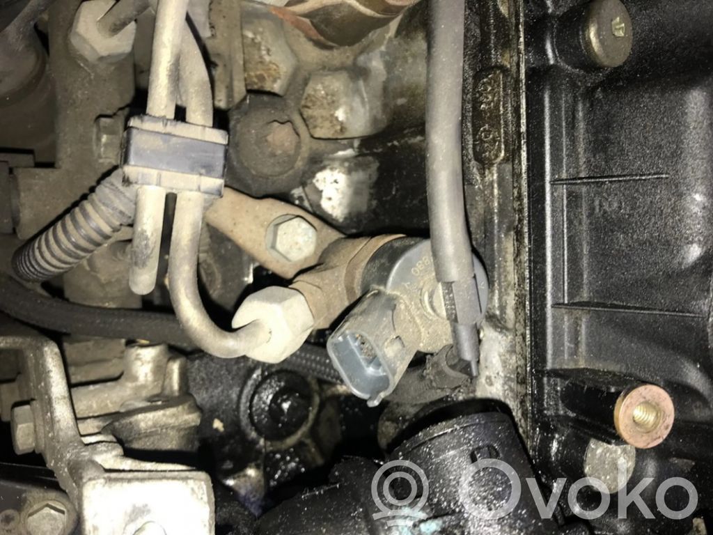 Peugeot 307 Injector combustibil 