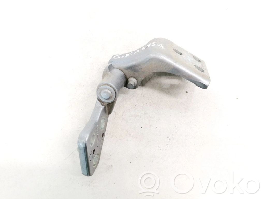 Balama inferioară ușă spate   G18034618,G18034618