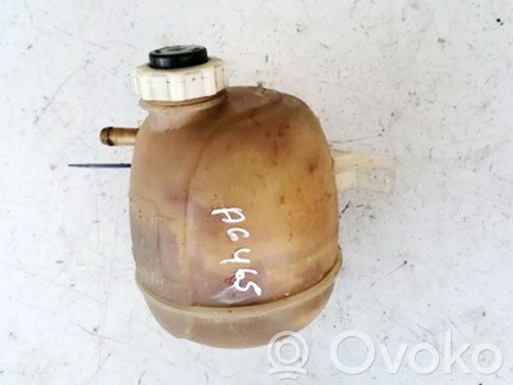 Renault Scenic I Serbatoio di compensazione del liquido refrigerante/vaschetta