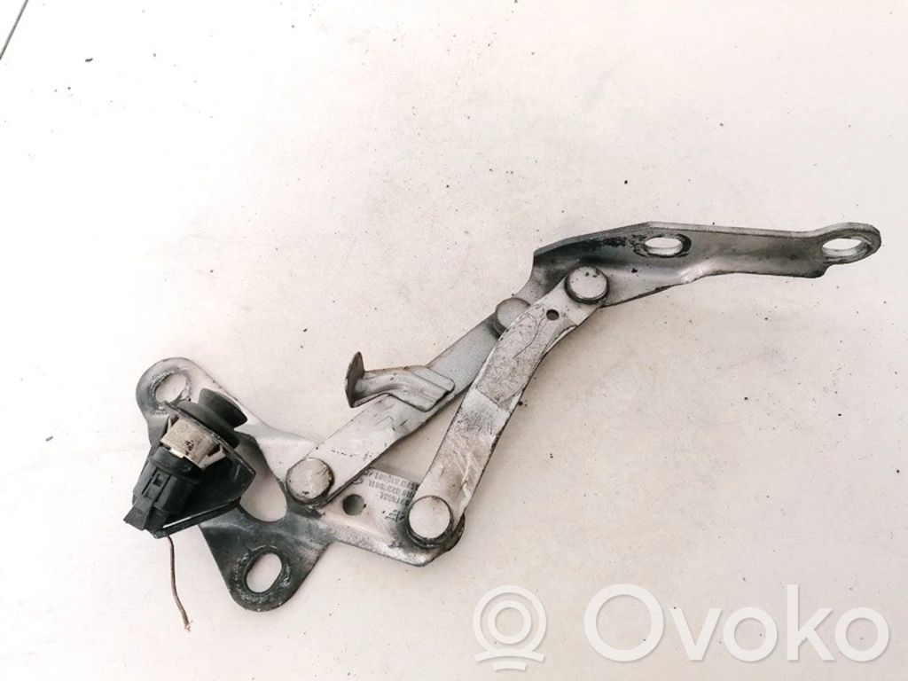 Volkswagen Sharan Balamale capotă 
