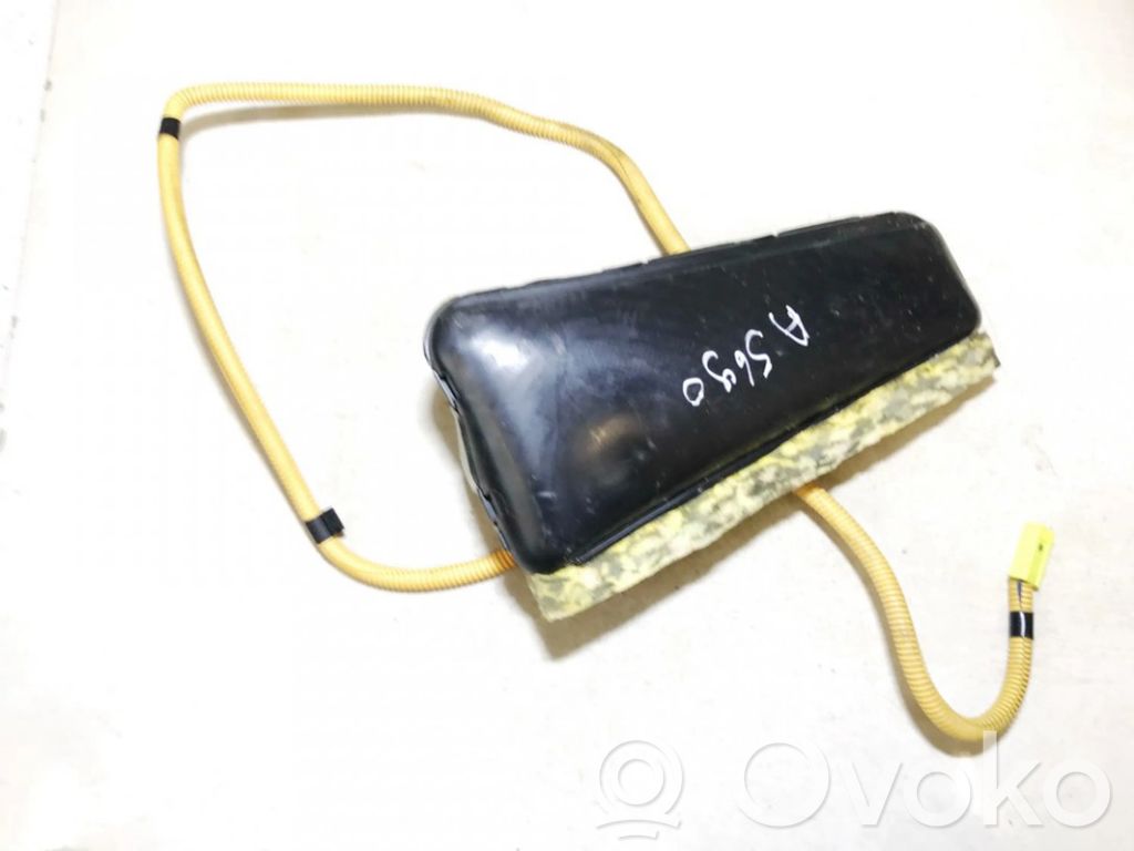 Sitz-Airbag   5203658,5203658