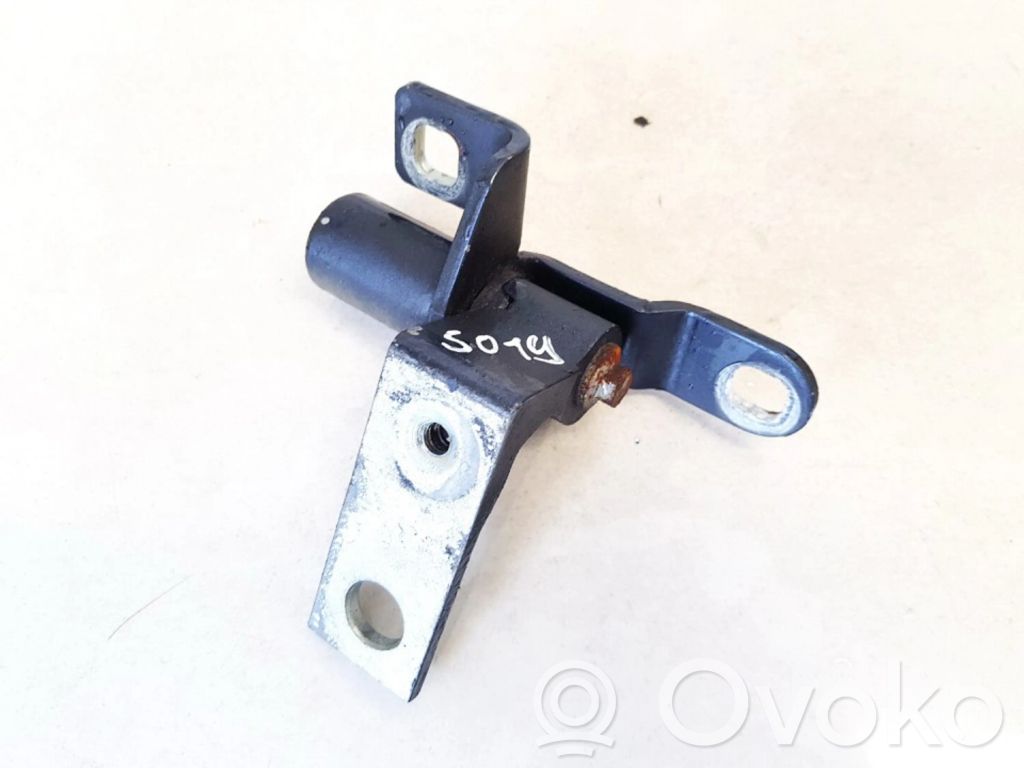 Bisagra inferior de la puerta trasera   A046575,A046575