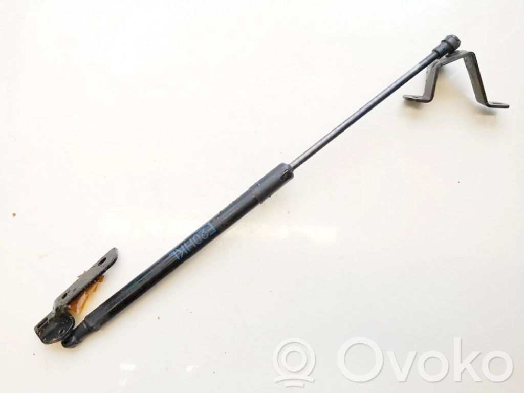 BMW 1 F20 F21 Ammortizzatore portellone posteriore/bagagliaio