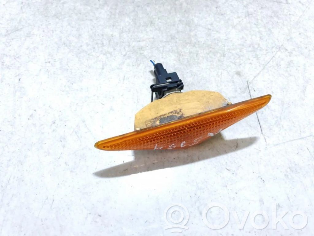 Ford Focus Seitenblinker 