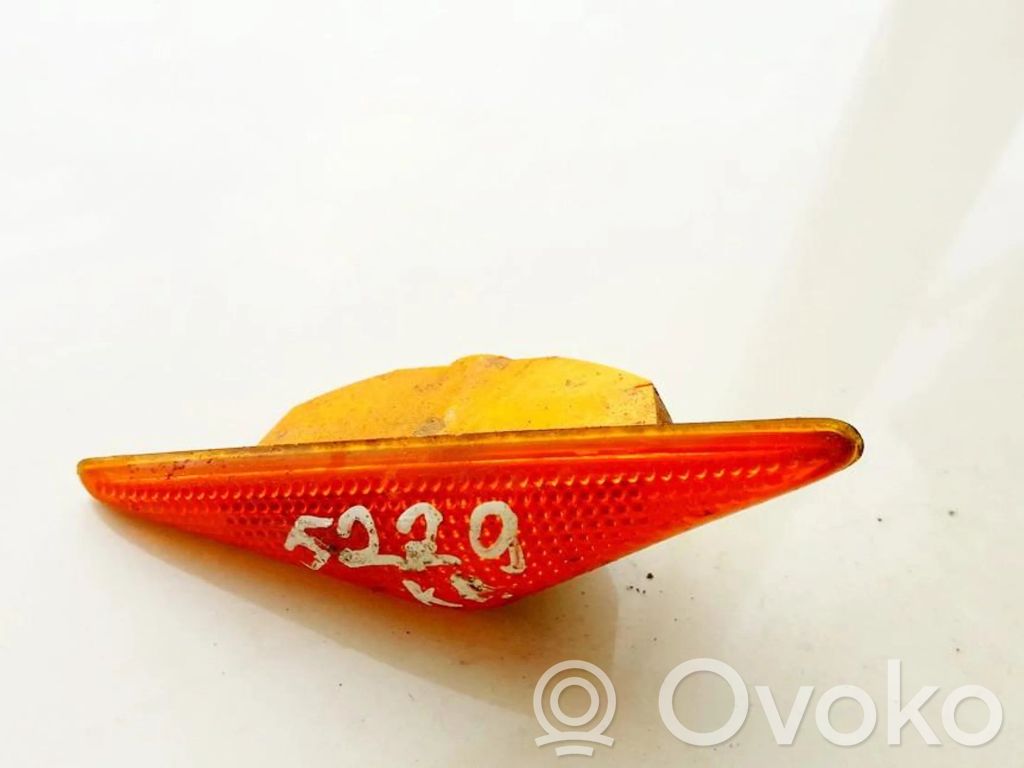Ford Focus Seitenblinker 