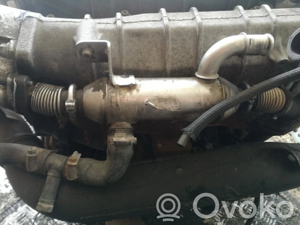 Peugeot 406 Valvola di raffreddamento EGR 