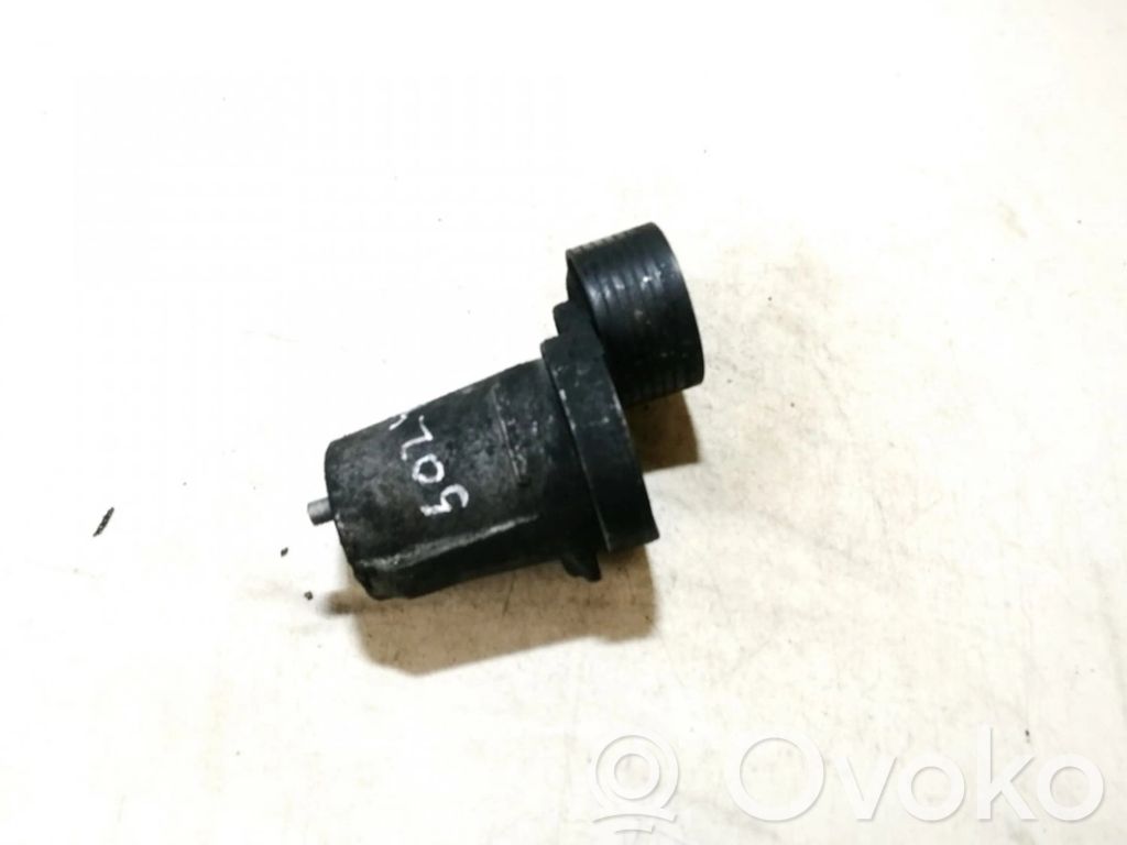 Napinacz paska alternatora   780033303,780033303