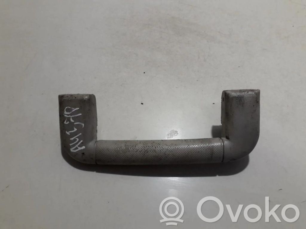 Asidero interior delantero   2020496,2020496