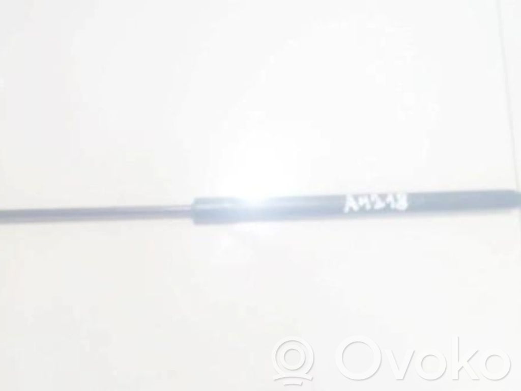 Chevrolet Captiva Amortizor hayon 