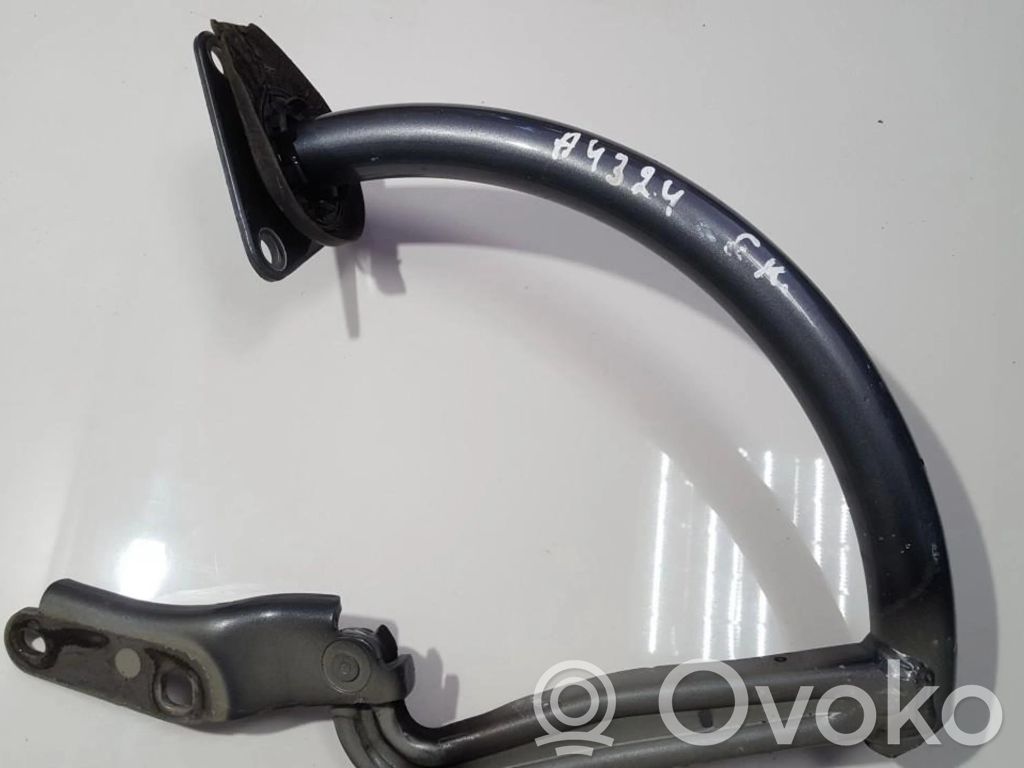 Volkswagen PASSAT B6 Cerniera portellone posteriore/bagagliaio 