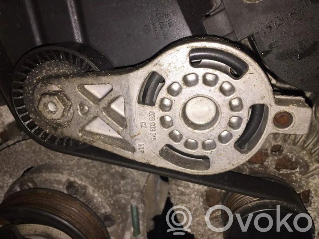 Volkswagen PASSAT B6 Tendicinghia generatore/alternatore