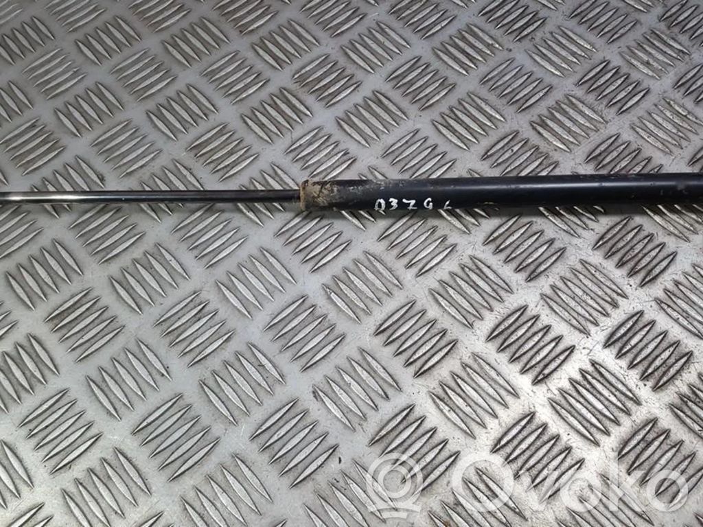 Ford Focus Tailgate/trunk strut/damper 