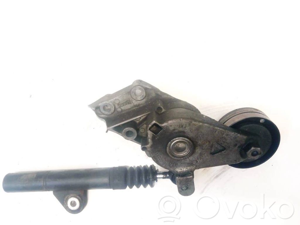 Seat Toledo II (1M) Întinzător curea generator/alternator 