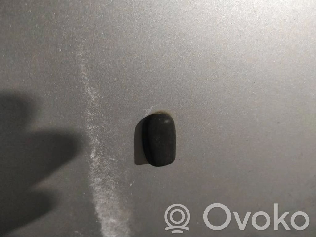 Windshield washer spray nozzle