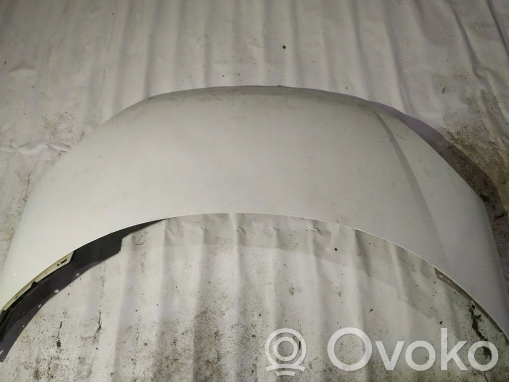 Capotă motor   BALTAS,BALTAS