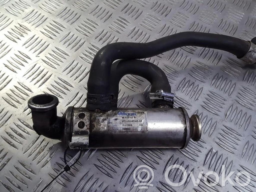 Citroen C2 Răcitor supapă EGR 