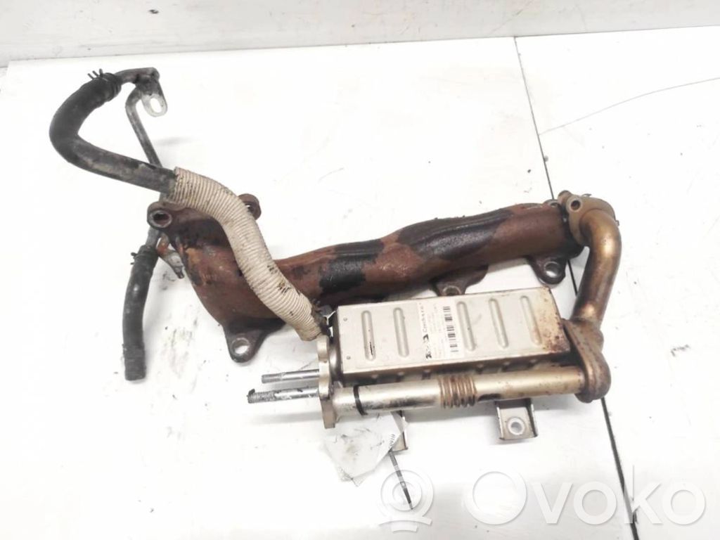 Toyota Verso Valvola di raffreddamento EGR