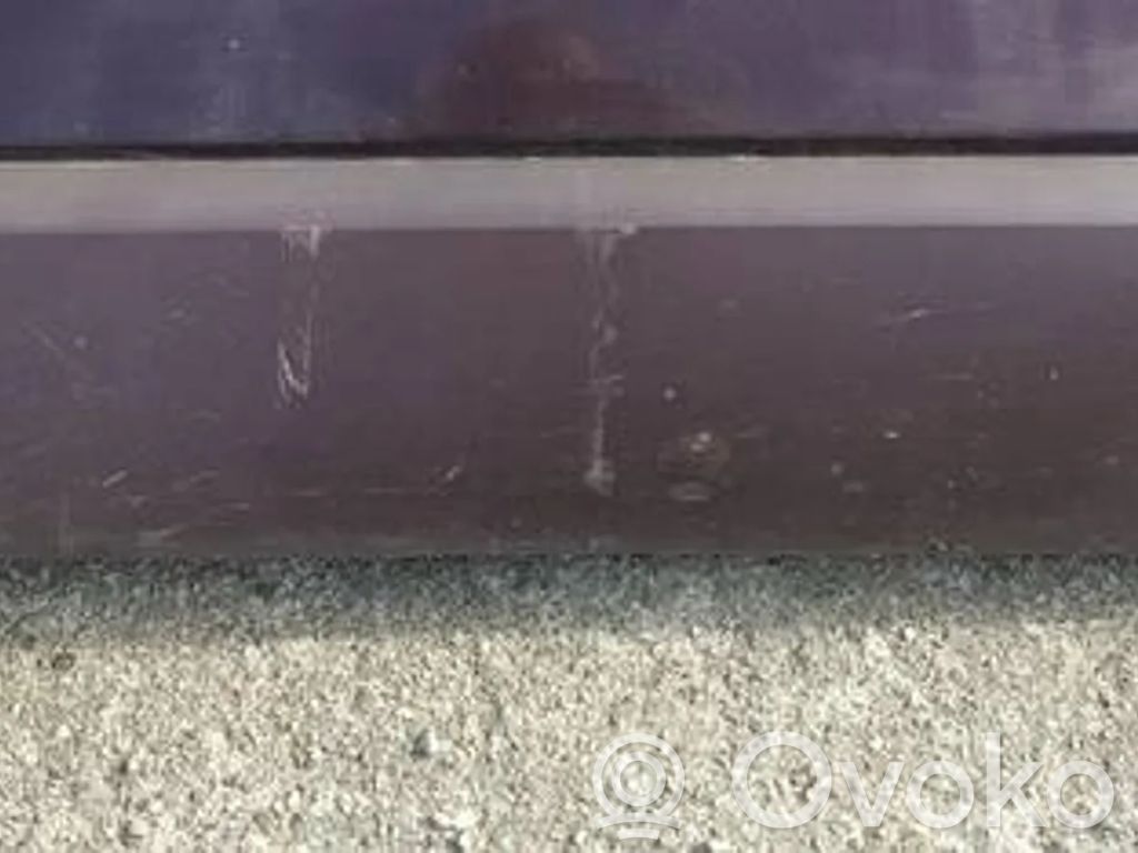 Listón embellecedor de la puerta delantera (moldura)