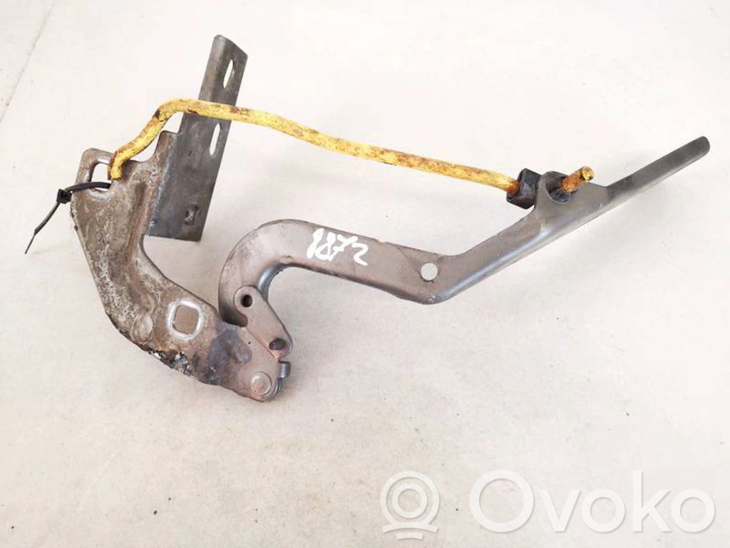 Citroen C4 Grand Picasso Cerniere del vano motore/cofano