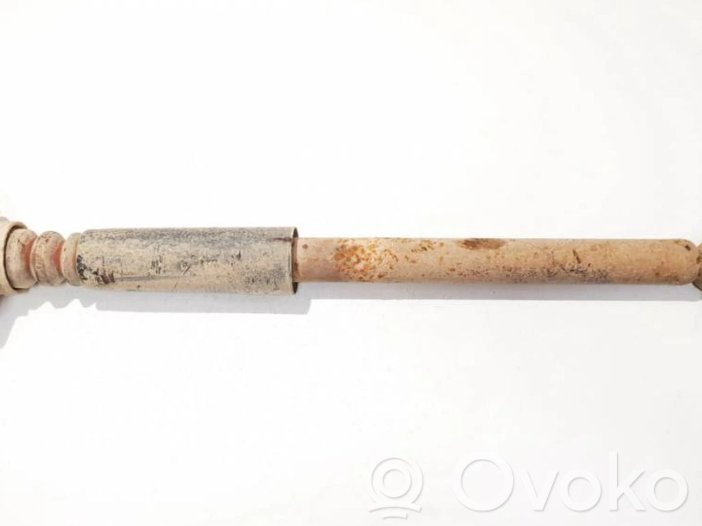 Stoßdämpfer hinten
