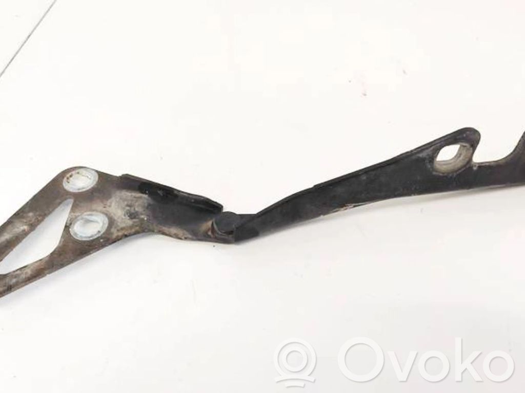 Opel Signum Balamale capotă 