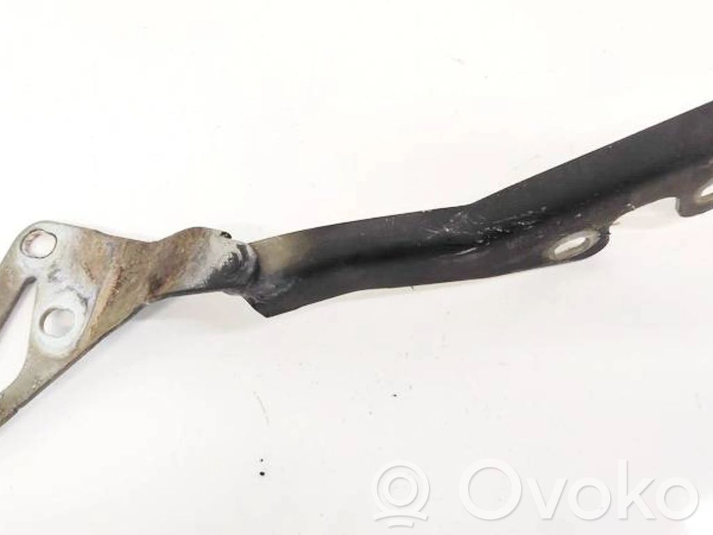 Opel Signum Cerniere del vano motore/cofano 