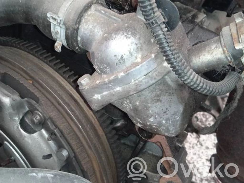 Opel Signum Przewód / Wąż chłodnicy 